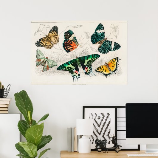  vlinderillustratie poster (Thuiskantoor)