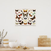  vlinderillustratie poster (Keuken)