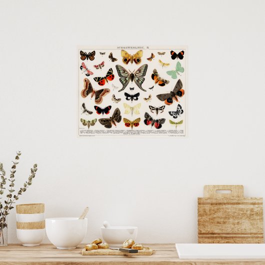 vlinderillustratie poster (Keuken)