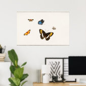  vlinderillustratie poster (Thuiskantoor)