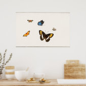  vlinderillustratie poster (Keuken)