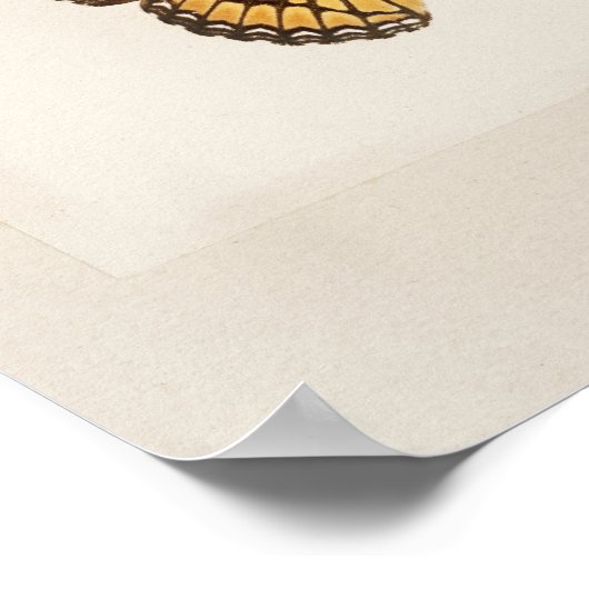  vlinderillustratie poster (Hoek)