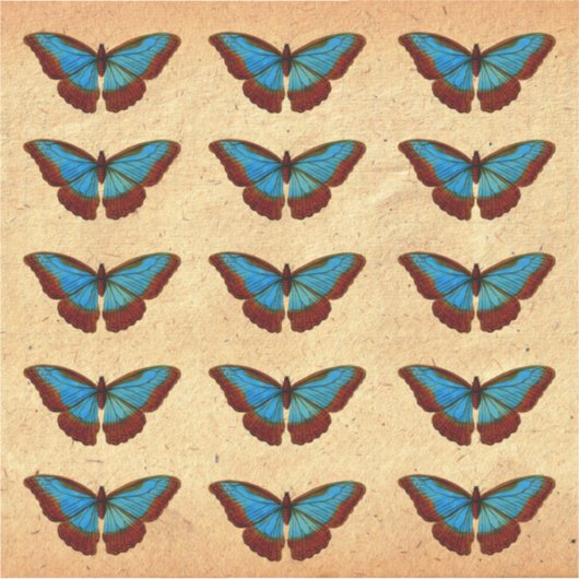  vlinderillustratie sticker (Voorkant)