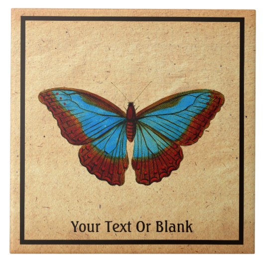  vlinderillustratie tegeltje (Voorkant)