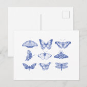  vlinderillustraties in blauw briefkaart (Voorkant / Achterkant)