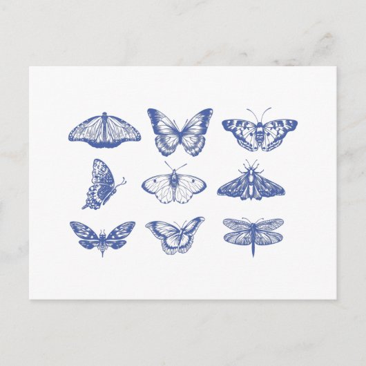  vlinderillustraties in blauw briefkaart (Voorkant)