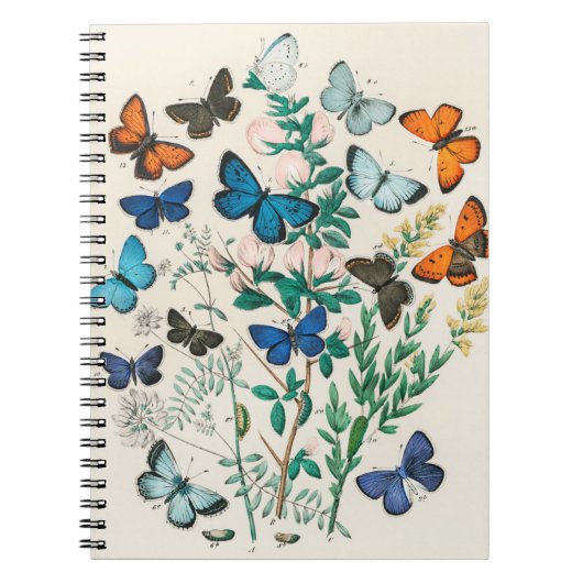 Vlinderillustraties Notitieboek (Voorkant)