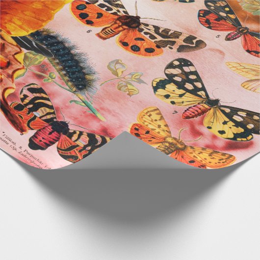 VLINDERinpakpapier Cadeaupapier (Hoek)