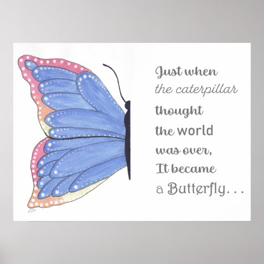 vlinderinspiratie poster (Voorkant)