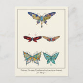 vlinderjuwelen sierbroches briefkaart (Voorkant)