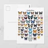 Vlinderkaart Briefkaart (Voorkant / Achterkant)