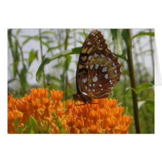 Vlinderkaart (leeg aan binnenzijde)