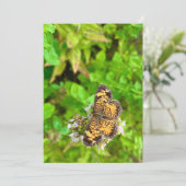 Vlinderkaart met Pearl Crescent vlinder verjaardag (Staand voorkant)