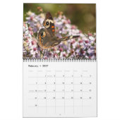 Vlinderkalender 2026 kalender (Feb 2027)