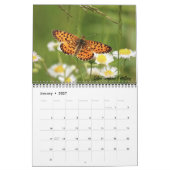 Vlinderkalender 2026 kalender (Jan 2027)