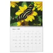 Vlinderkalender 2026 kalender (Mar 2027)