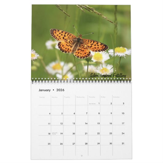 Vlinderkalender 2026 kalender (Jan 2026)