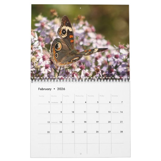 Vlinderkalender 2026 kalender (Feb 2026)