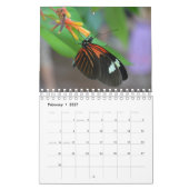 Vlinderkalender Kalender (Feb 2027)
