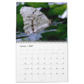 Vlinderkalender Kalender (Jan 2027)