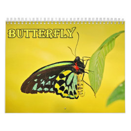 Vlinderkalender Kalender
