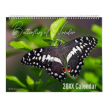 Vlinderkalender Kies je startmaand / jaar