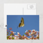 vlinderkletteren briefkaart (Voorkant / Achterkant)