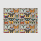  vlinderkleurige ontvlechting van de Entomologie Tissuepapier (Voorkant)