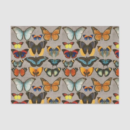  vlinderkleurige ontvlechting van de Entomologie Tissuepapier (Voorkant)