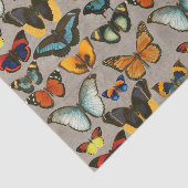  vlinderkleurige ontvlechting van de Entomologie Tissuepapier (Detail)