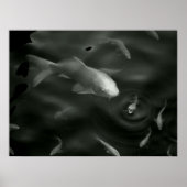 vlinderkoek poster (Voorkant)