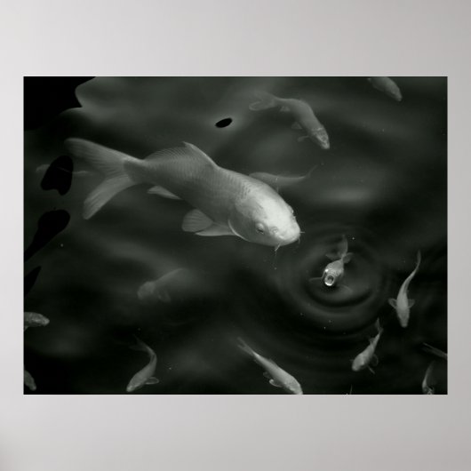 vlinderkoek poster (Voorkant)