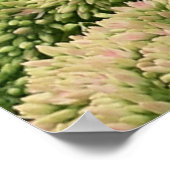 Vlinderkoning Schoon Natuurfotografie Poster (Hoek)