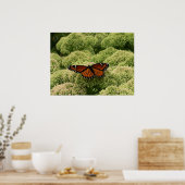 Vlinderkoning Schoon Natuurfotografie Poster (Keuken)