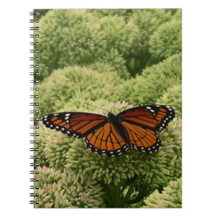 Vlinderkoning Vlinder Mooie Natuurfotografie Notitieboek