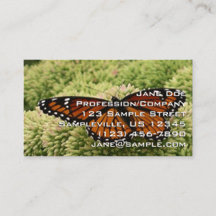 Vlinderkoning Vlinder Mooie Natuurfotografie Visitekaartje