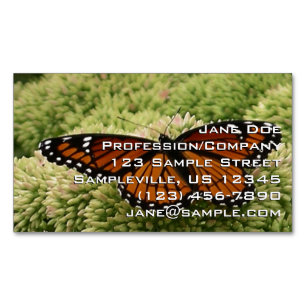 Vlinderkoning Vlinder Schoon Natuur Fotografie Magnetisch Visitekaartje