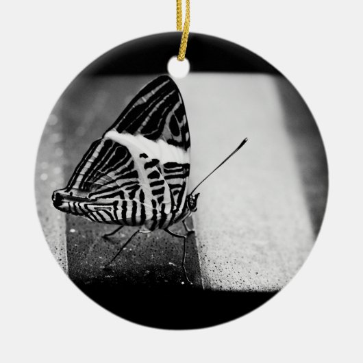vlinderkruising keramisch ornament (Voorkant)