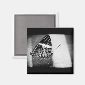 vlinderkruising magneet (Voorkant / Achterkant)