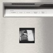 vlinderkruising magneet (Insitu (Vaatwasser))