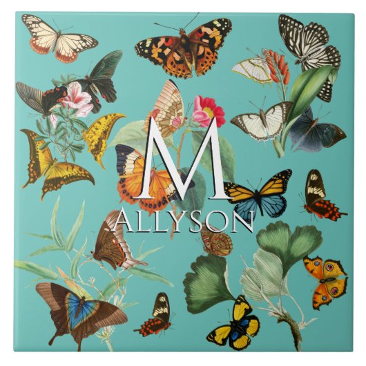  vlinderkunst, veel soorten Blauwgroen Tegeltje (Voorkant)