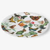  vlinderkunst, veel soorten en kleuren, wit papieren bordje (Gekanteld)