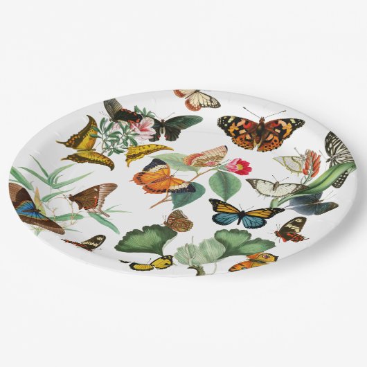  vlinderkunst, veel soorten en kleuren, wit papieren bordje (Gekanteld)