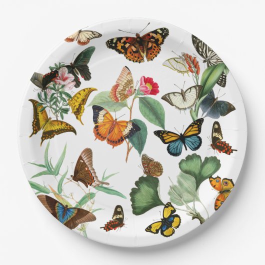  vlinderkunst, veel soorten en kleuren, wit papieren bordje (Voorkant)