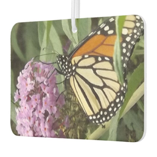 vlinderluchtverfrisser luchtverfrisser (Links)