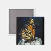 vlindermagneet magneet (Voorkant / Achterkant)