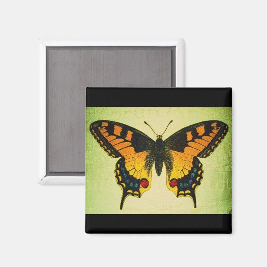 vlindermagneet magneet (Voorkant / Achterkant)