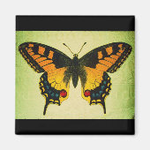 vlindermagneet magneet (Voorkant)