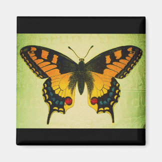 vlindermagneet magneet