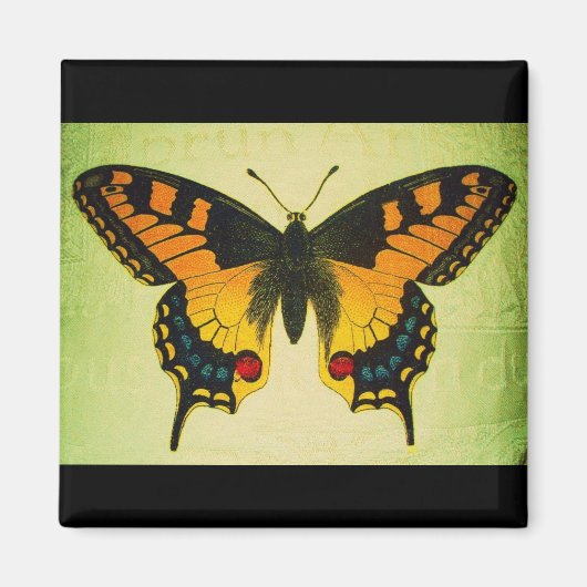 vlindermagneet magneet (Voorkant)